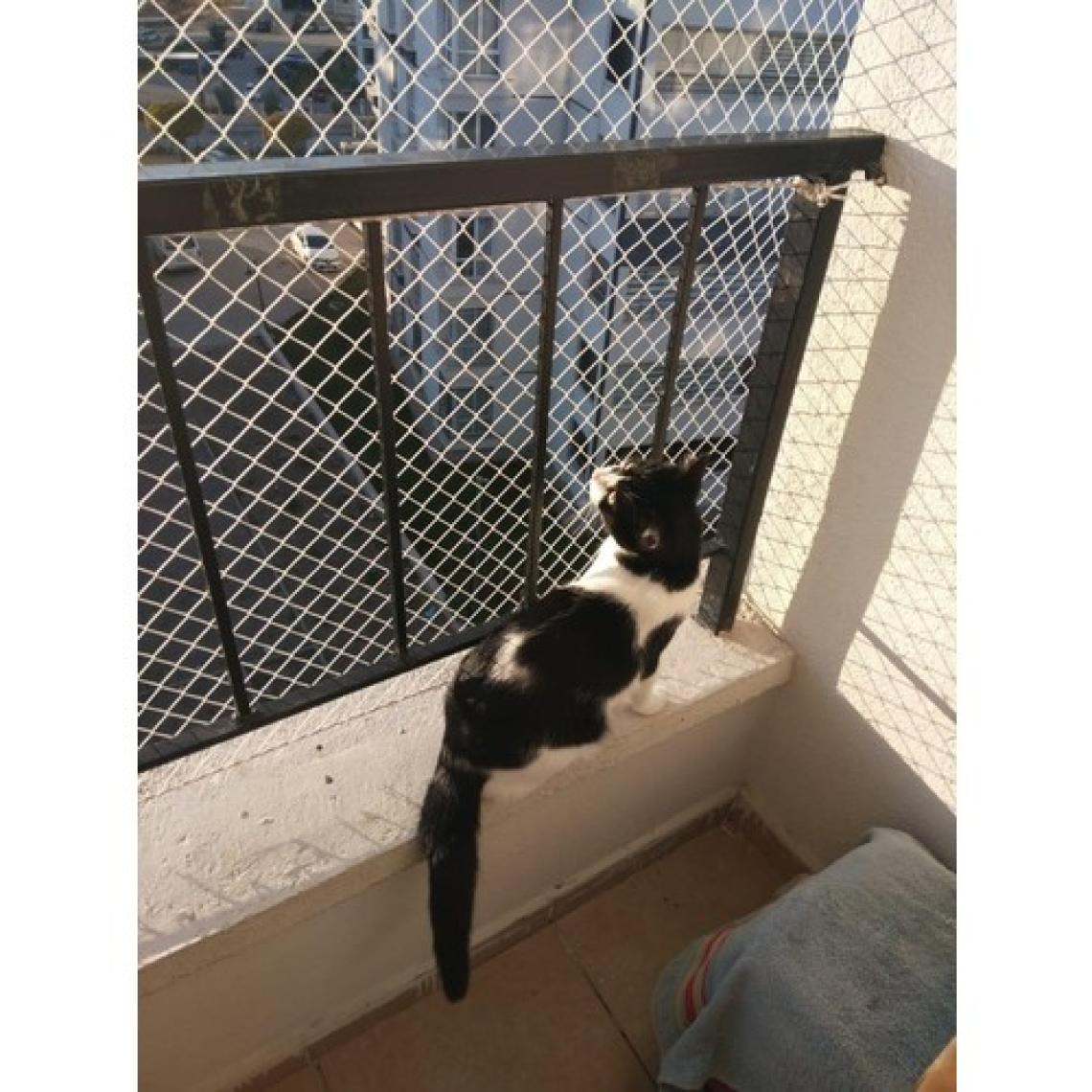 Kedi Filesi, hayvan koruma filesi (2metre*5metre)