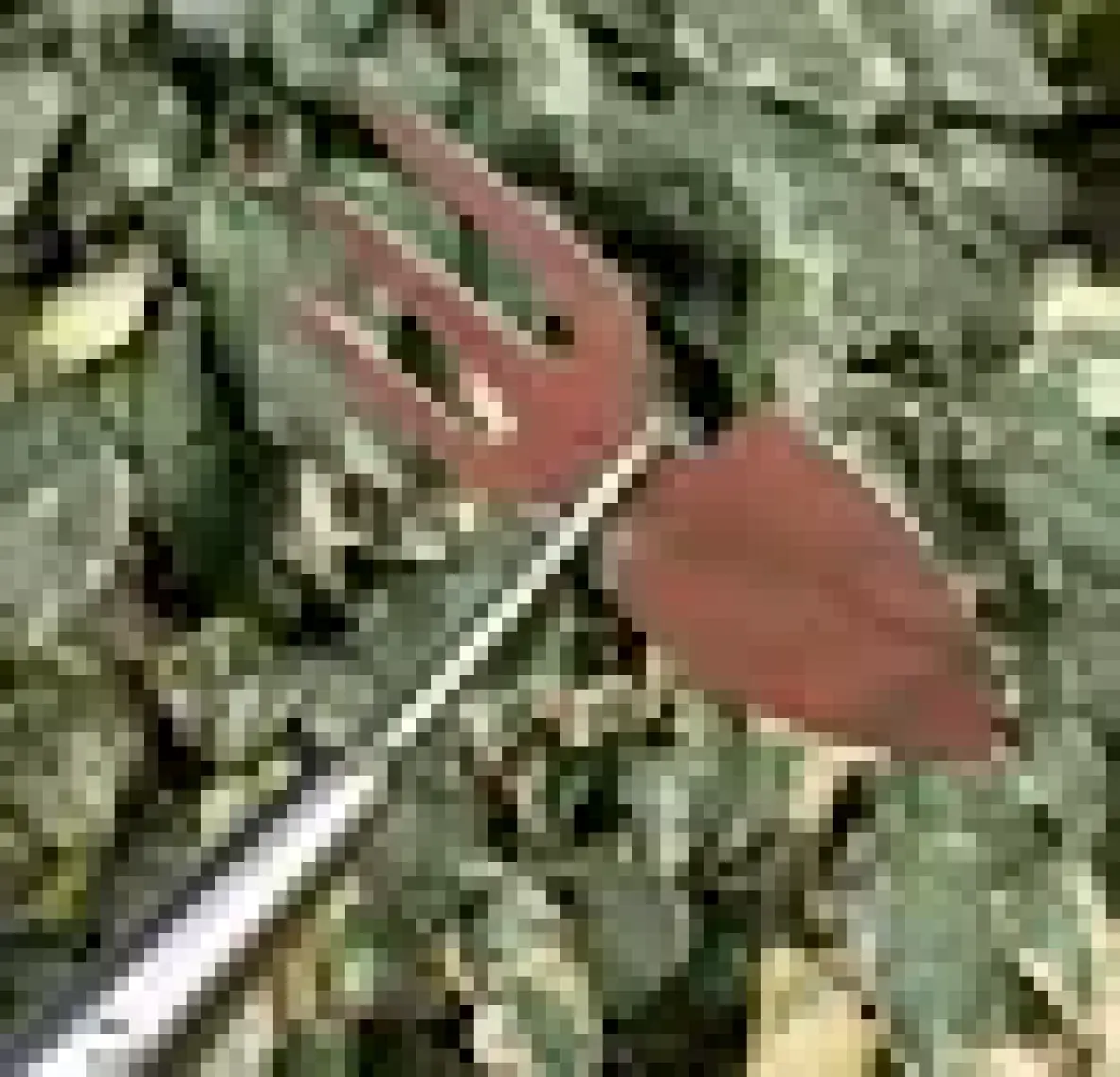 Gardenwind Essential Tırmık Ve Çapa 721