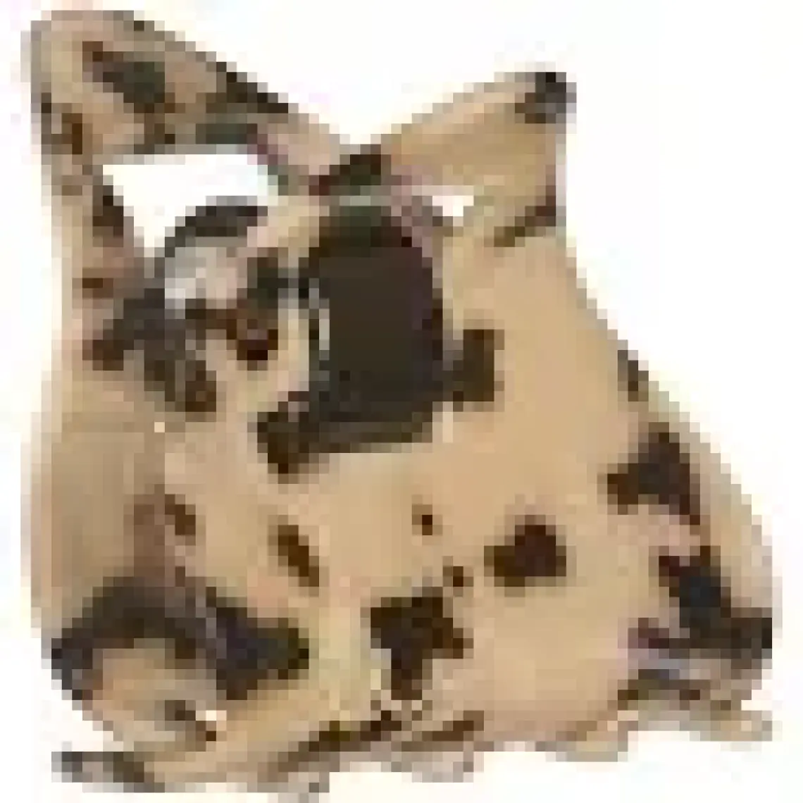 Invisibobble Everclaw Leo Love Kıskaçlı Saç Tokası