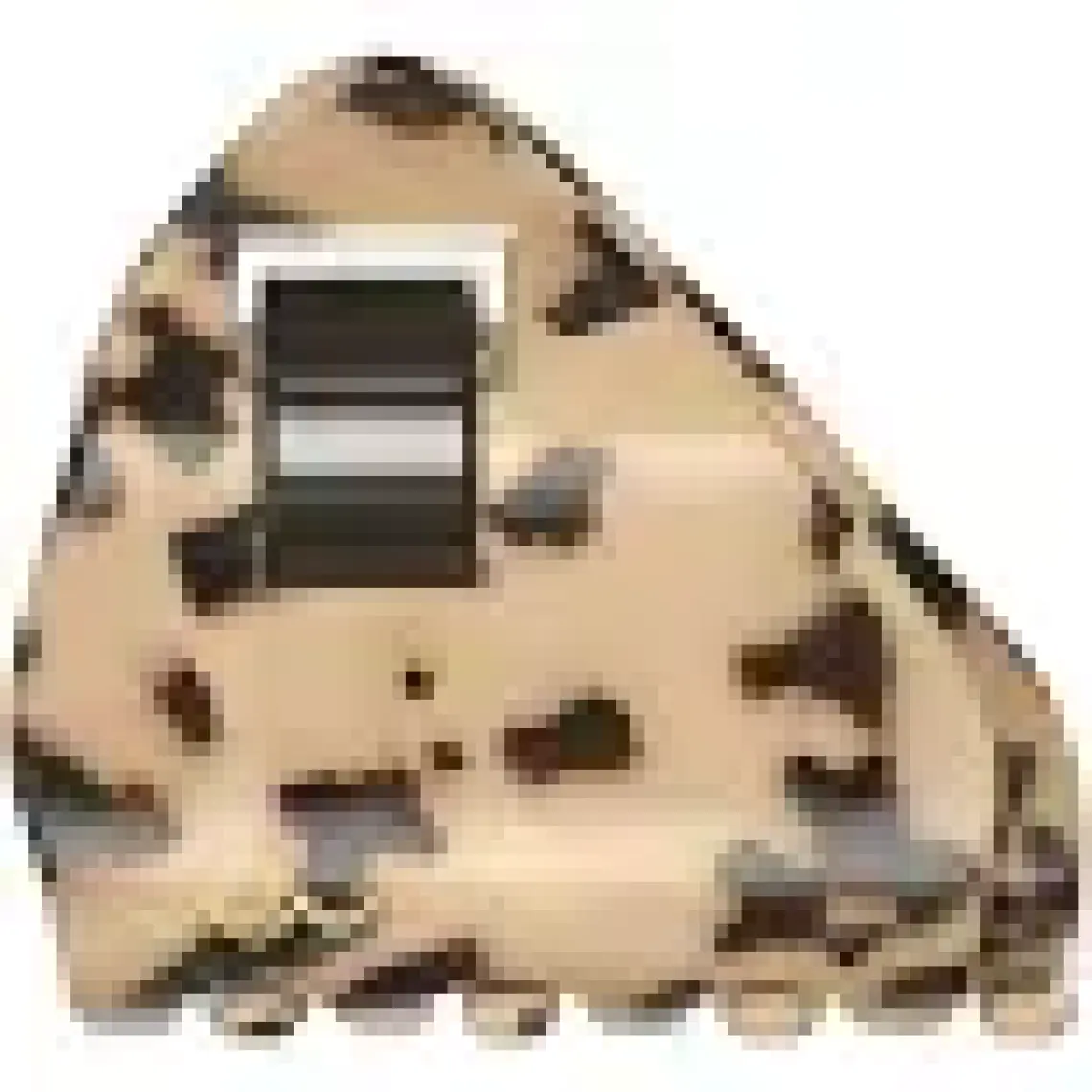 Invisibobble Everclaw Leo Love Kıskaçlı Saç Tokası