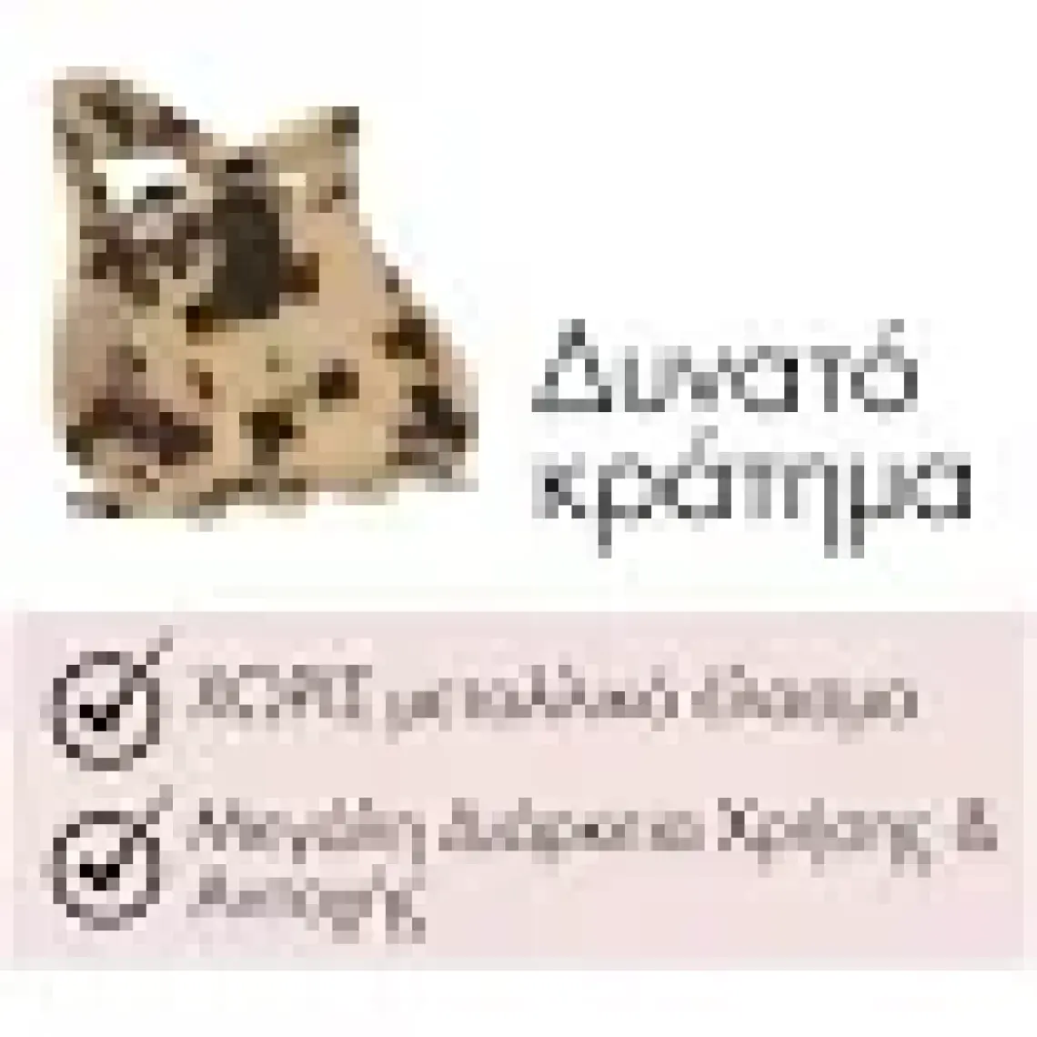 Invisibobble Everclaw Leo Love Kıskaçlı Saç Tokası