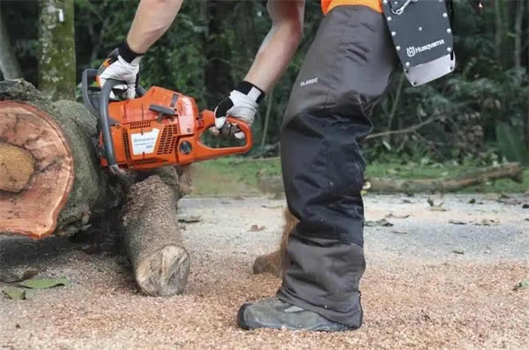Husqvarna 365 X-Torq Motorlu Testere 4,9 Hp / 70,7cc / 6,4 kg / 3/8 / 36 Diş