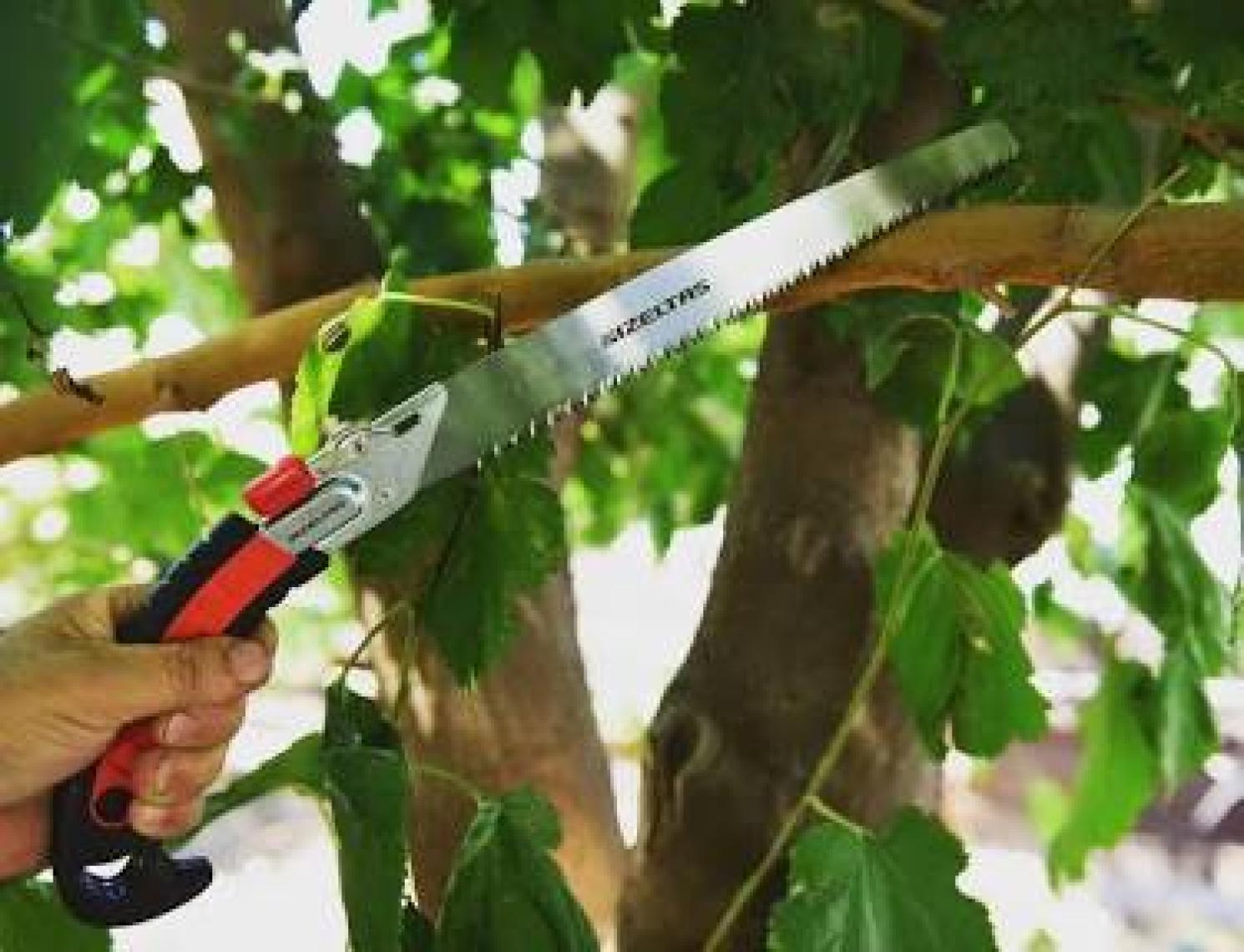 İzeltaş 6735270300 300 Mm Budama Testere