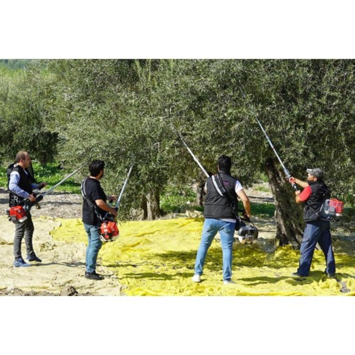 Stella Plus SP1000S - Zeytin Hasat Makinesi
