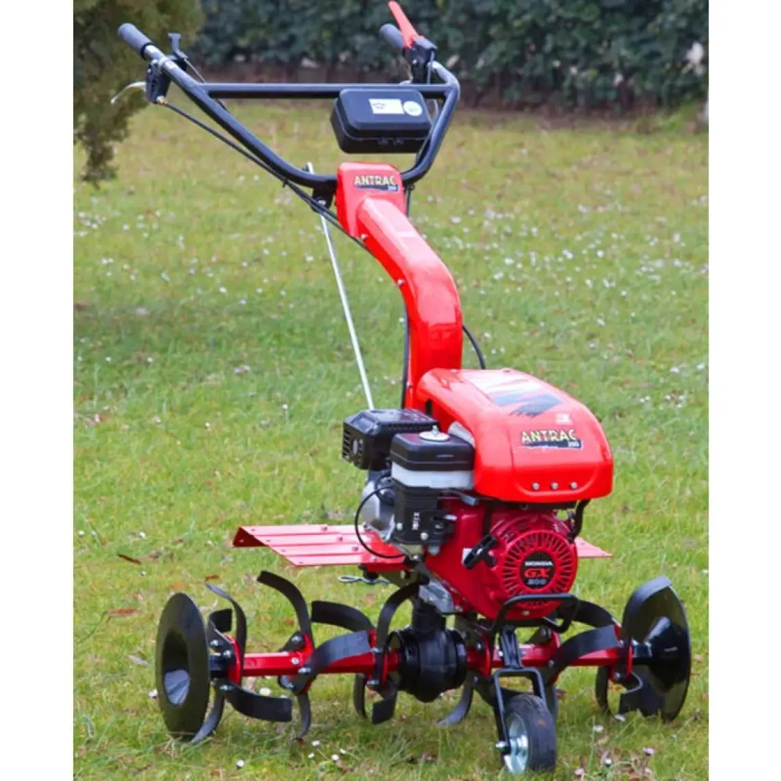 Antrac 200 Honda Gx