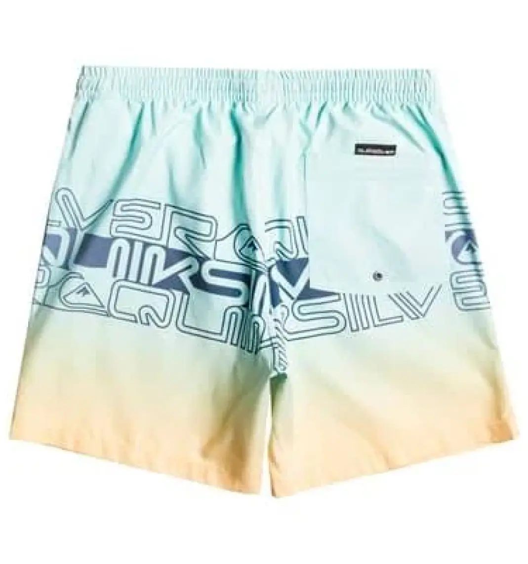 Quiksilver Wordblock 17 Jamv Erkek Deniz Şortu