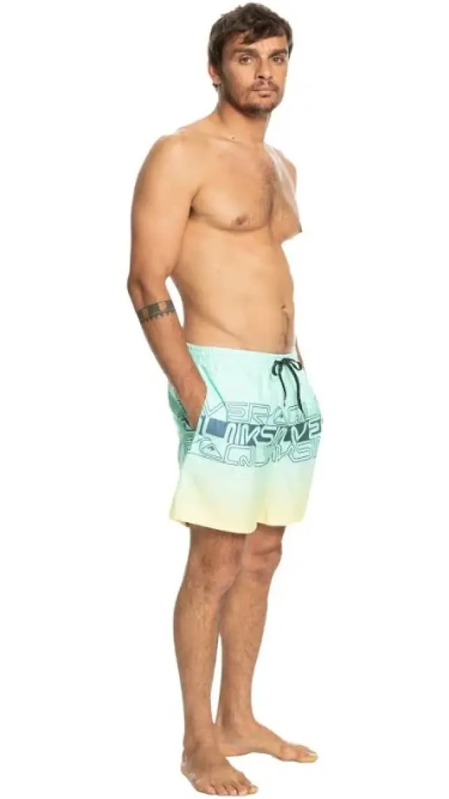 Quiksilver Wordblock 17 Jamv Erkek Deniz Şortu