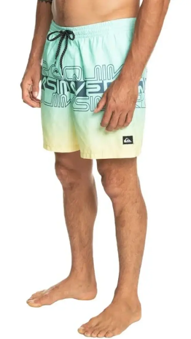 Quiksilver Wordblock 17 Jamv Erkek Deniz Şortu