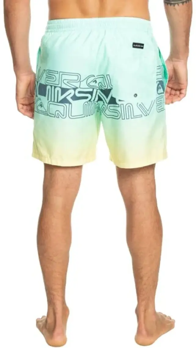 Quiksilver Wordblock 17 Jamv Erkek Deniz Şortu