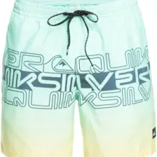 Quiksilver Wordblock 17 Jamv Erkek Deniz Şortu
