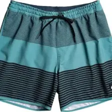 Quiksilver Surfsilk Tijuana 16 Erkek Volley Short EQYJV04012