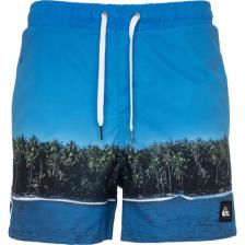 Quiksilver Jlagdrmsvly15 Jamv Erkek Volley Short EQYJV03548-BMM6
