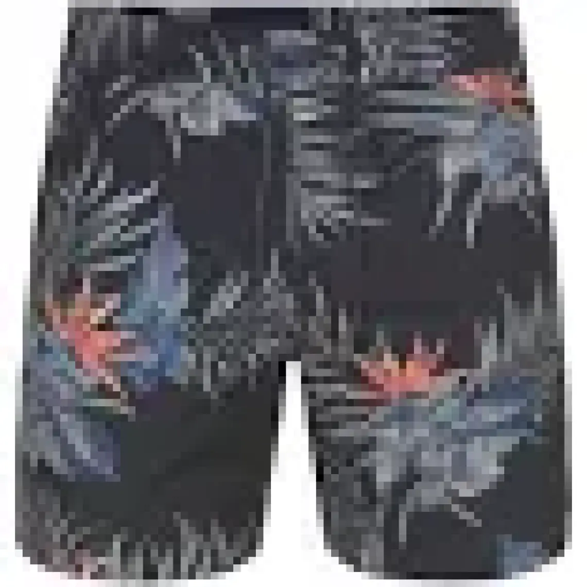 Quiksilver Paradise Express 15 Erkek Volley Short
