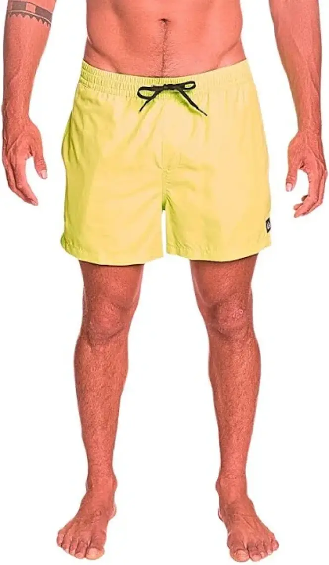Quiksilver Everyday 15 Jamv Erkek Deniz Şortu