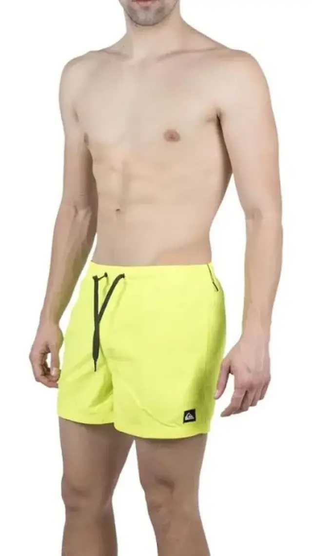 Quiksilver Everyday 15 Jamv Erkek Deniz Şortu
