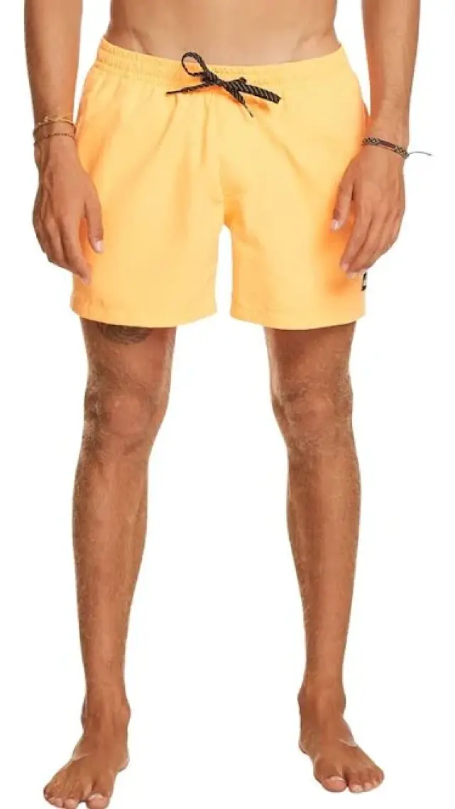 Quiksilver Everyday 15 Jamv Erkek Deniz Şortu