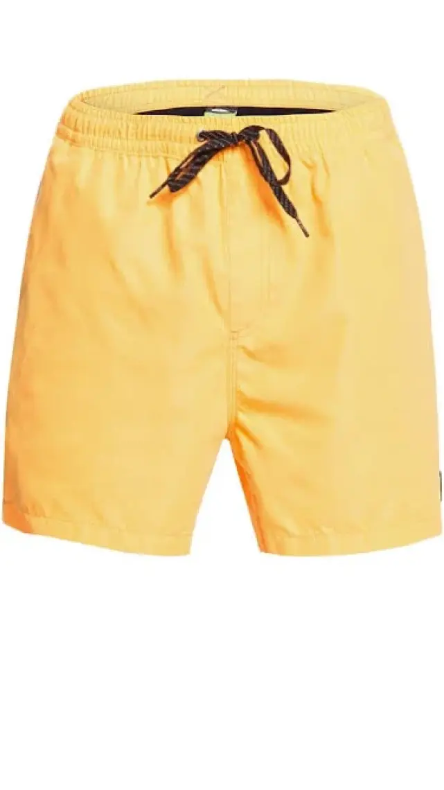 Quiksilver Evdayvl15 M Jamv Turuncu Erkek Şort EQYJV03531-NLQ0