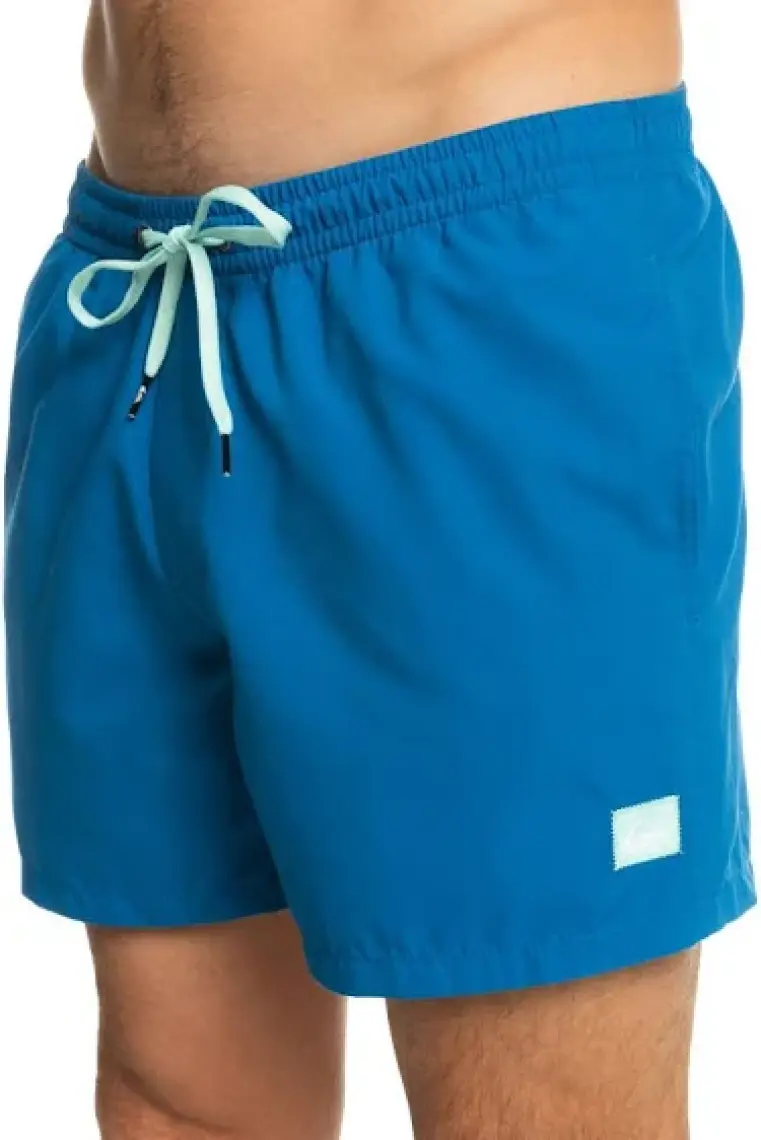 QUIKSILVER EVERY DAY VOLLEY EQYJV03531-BRT0 ERKEK Mavi Şort