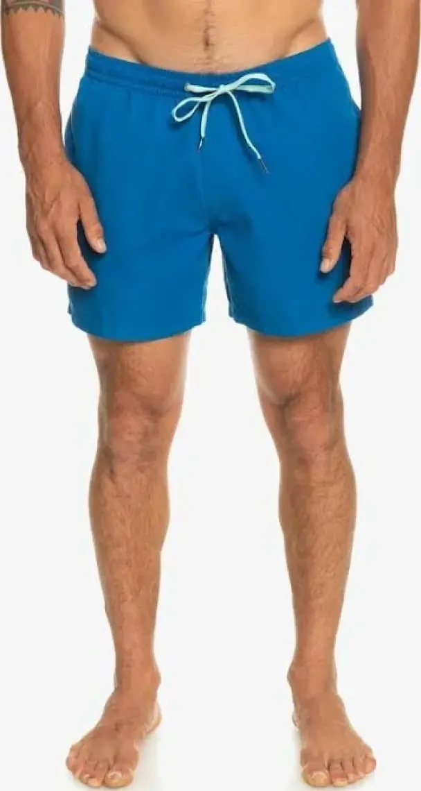 QUIKSILVER EVERY DAY VOLLEY EQYJV03531-BRT0 ERKEK Mavi Şort