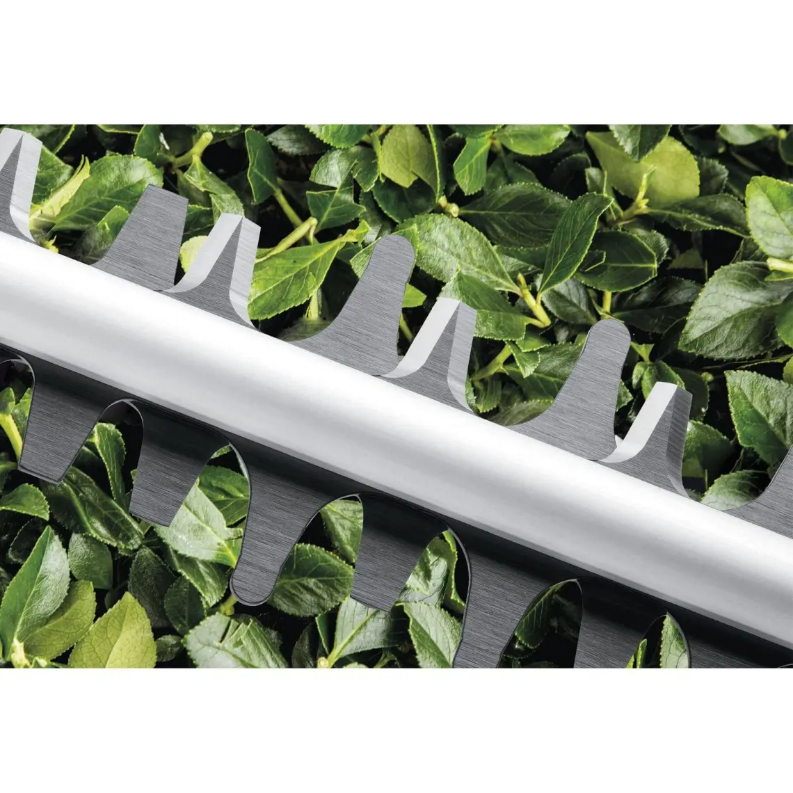Bosch Advanced Hedgecut Çit Budama Makinası - 06008C0900