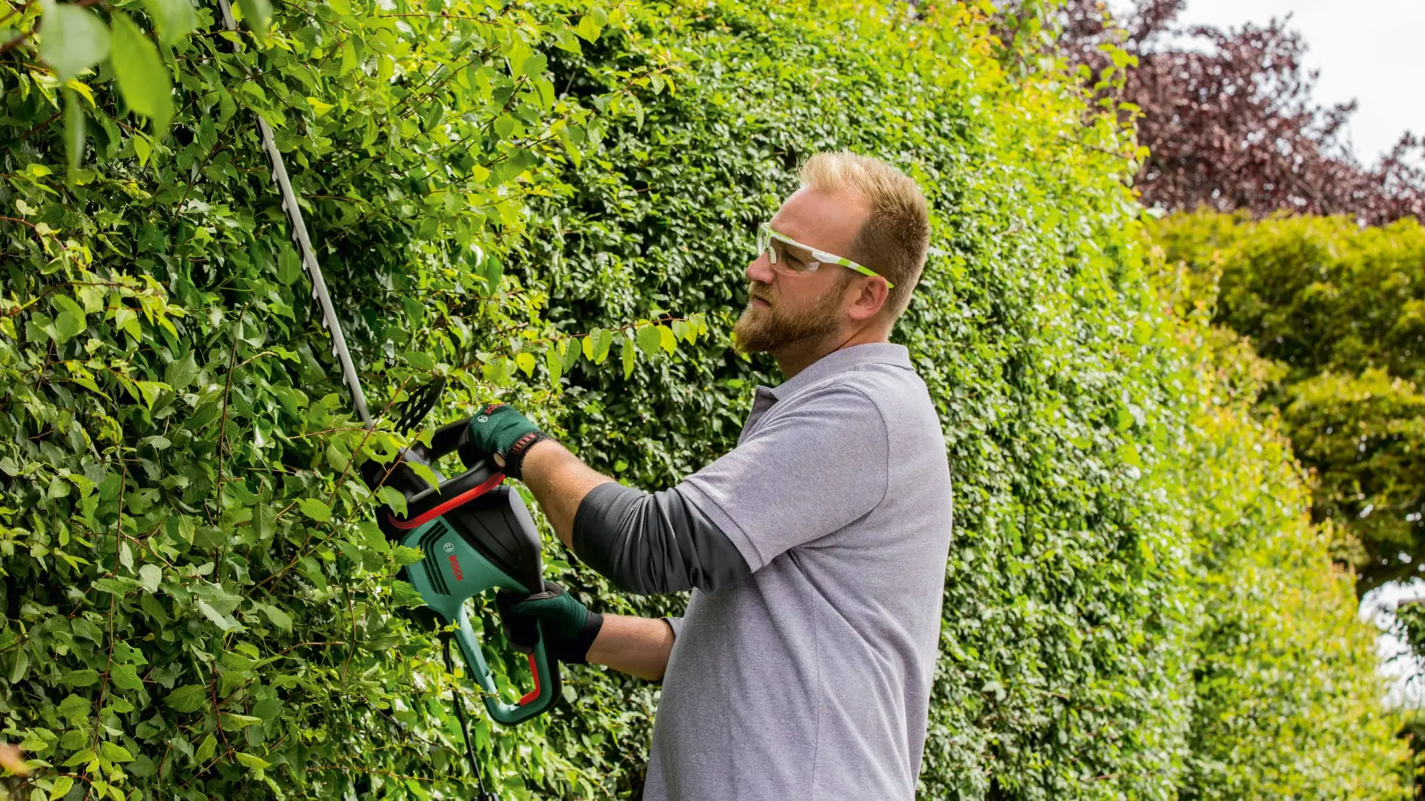 Bosch Advanced Hedgecut Çit Budama Makinası - 06008C0900