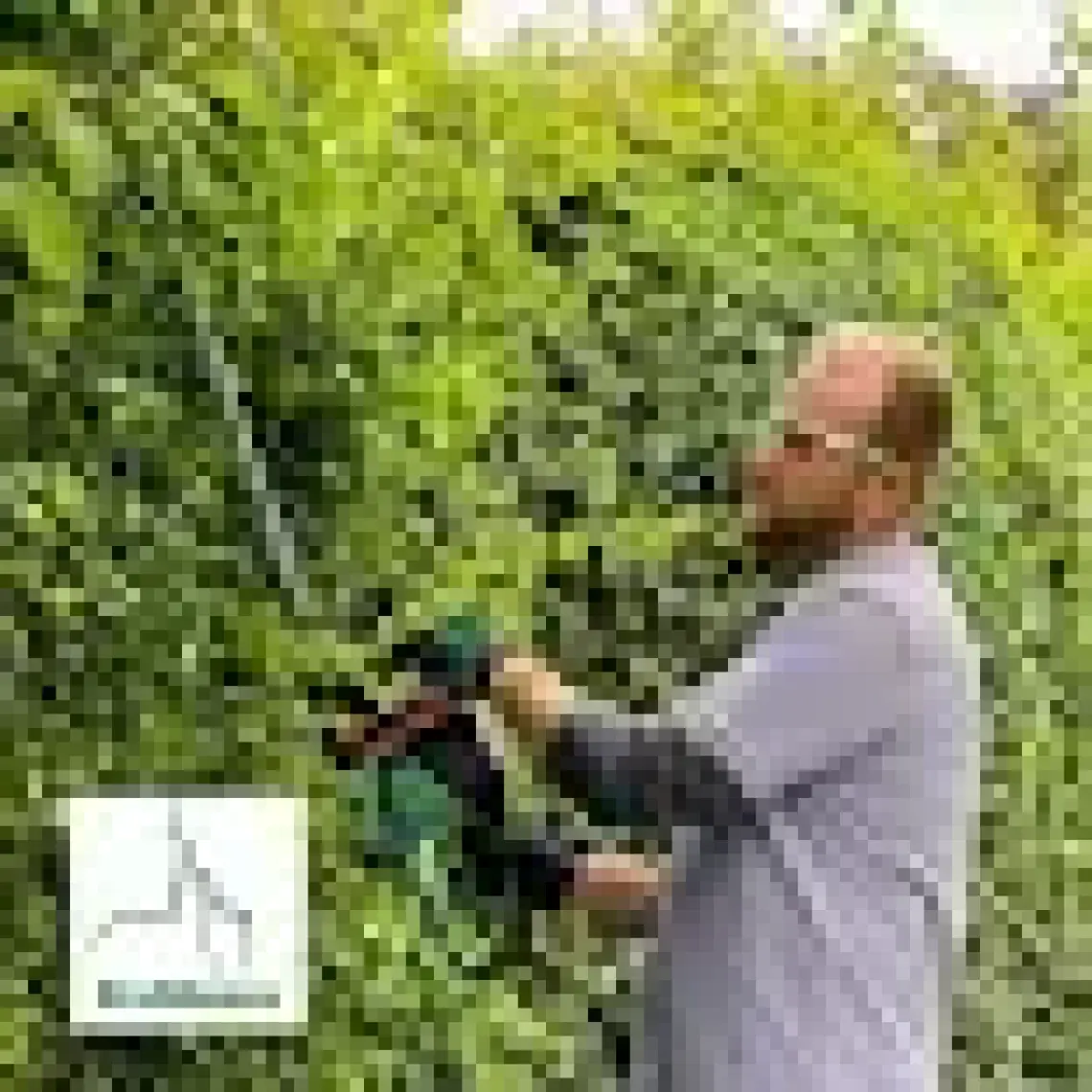 Bosch Advanced Hedgecut Çit Budama Makinası - 06008C0900