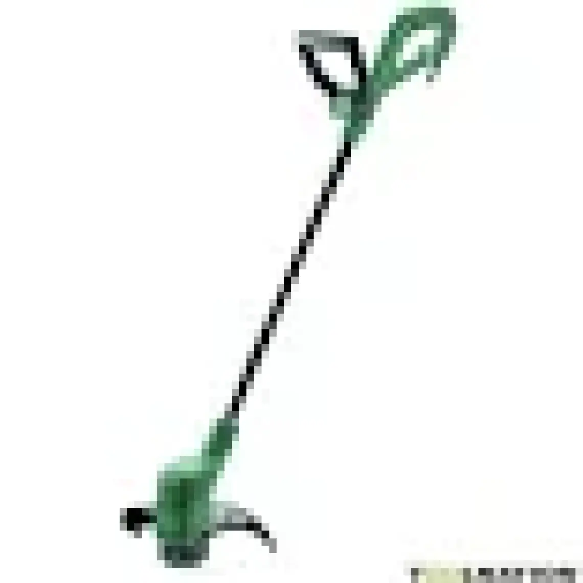Bosch Advanced Hedgecut Çit Budama Makinası - 06008C0900