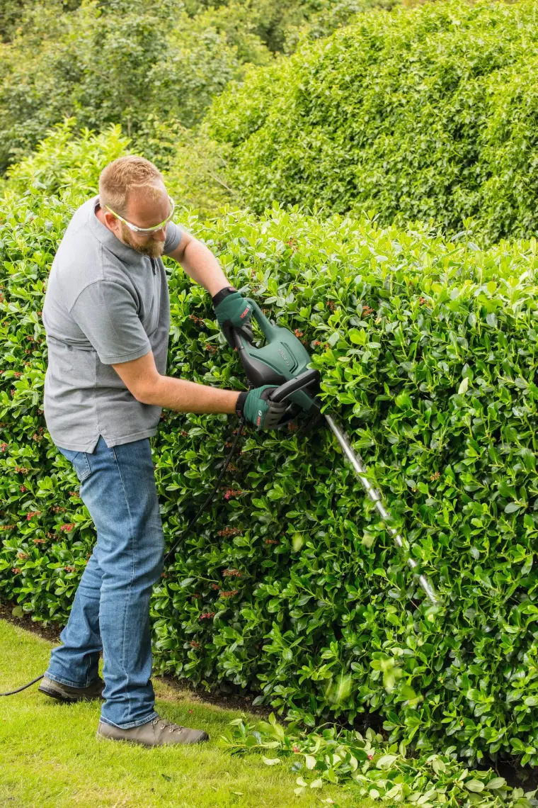 Bosch Advanced Hedgecut Çit Budama Makinası - 06008C0900