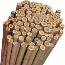 Bahçem Bambu Bitki Destek Çubuğu 75 cm 10'lu