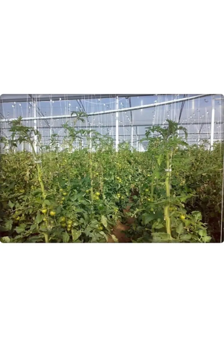 Fil İp Beyaz Ip Ambalaj Ipi-Çuval Ağız Ipi 1 kg