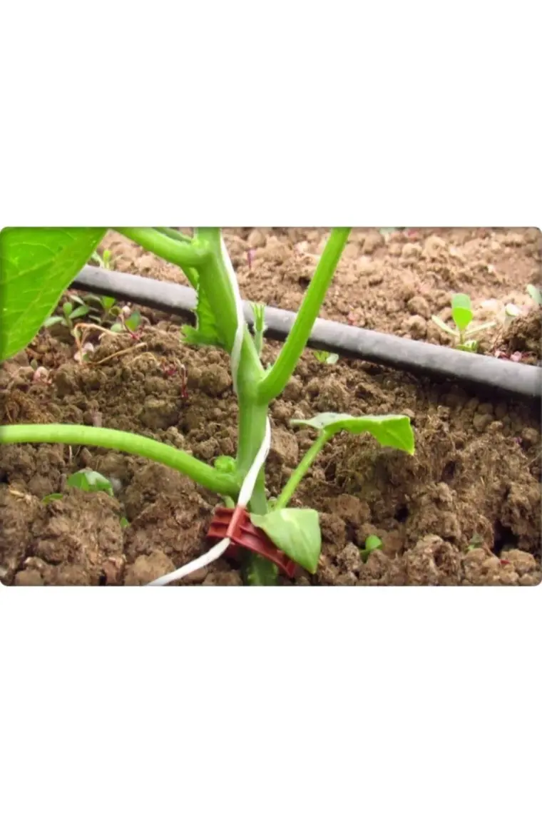Fil İp Beyaz Ip Ambalaj Ipi-Çuval Ağız Ipi 1 kg