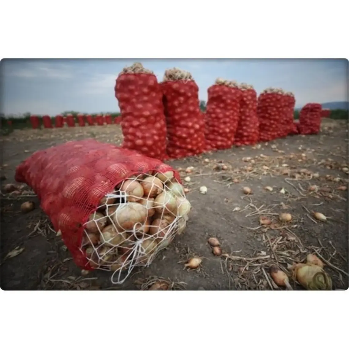 Fil İp Beyaz Ip Ambalaj Ipi-Çuval Ağız Ipi 1 kg