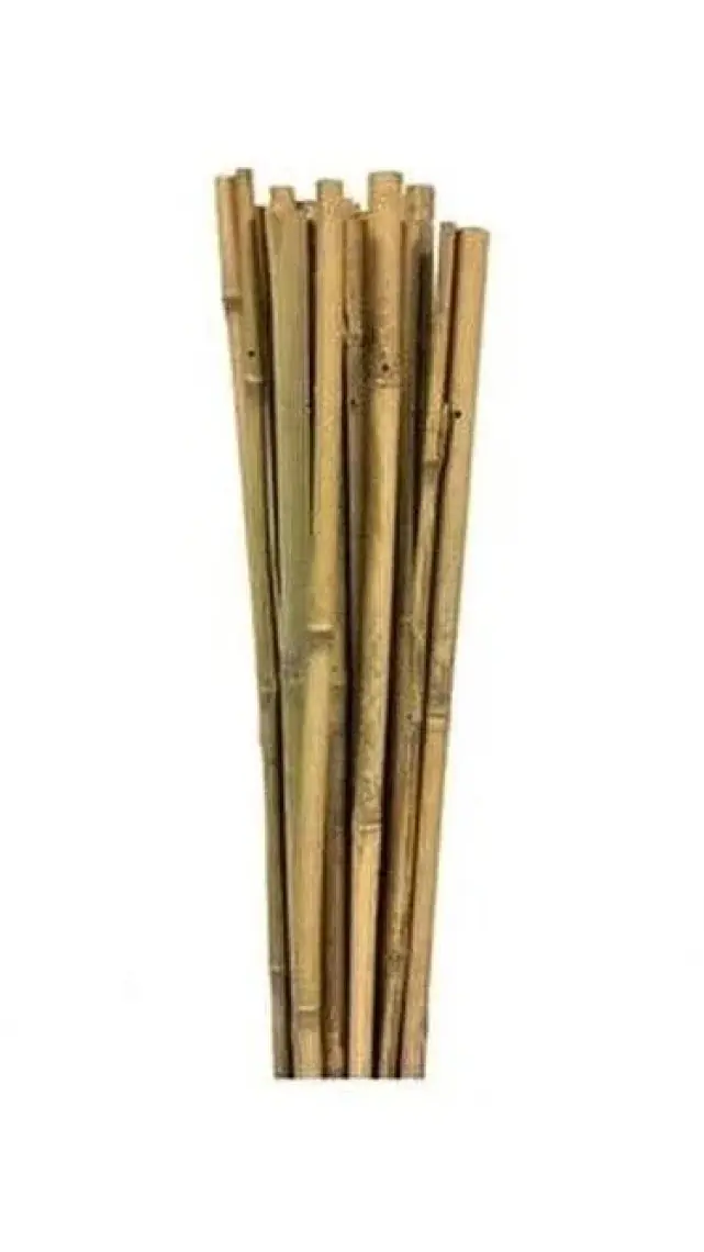 Bahçem Bambu Bitki Destek Çubuğu 90 cm 10'lu