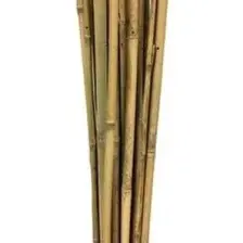 Bahçem Bambu Bitki Destek Çubuğu 90 cm 10'lu