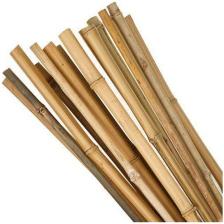 Bahçem Bambu Bitki Destek Çubuğu 120 cm 10'lu