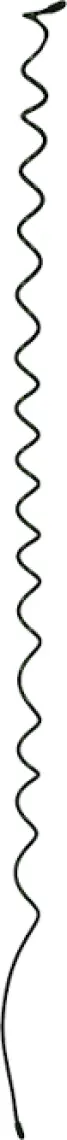 Bahçem Spiral Bitki Destek Çubuğu 75 cm 3'lü