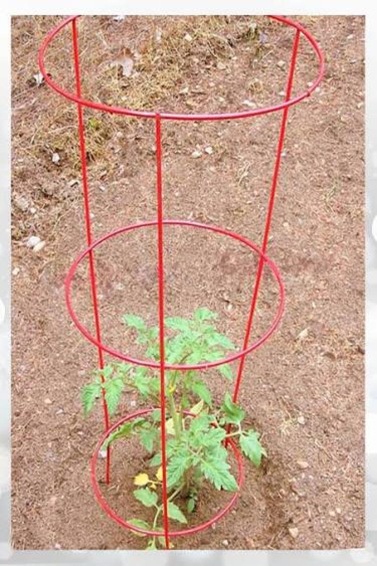 Aktepe Group 10 Adet Domates Teli 74 Cm Boyunda Domates Kafesi Bitki Desteği Tel Kafes