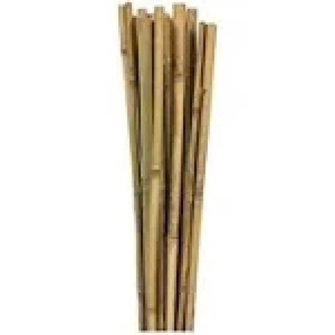 Bahçem Bambu 10'lu Bitki Destek Çubuğu 16 mm 180 cm