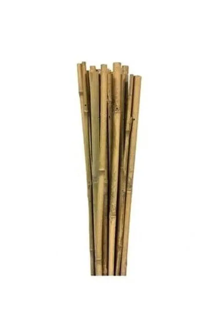 Bahçem Bambu 10'lu Bitki Destek Çubuğu 16 mm 180 cm