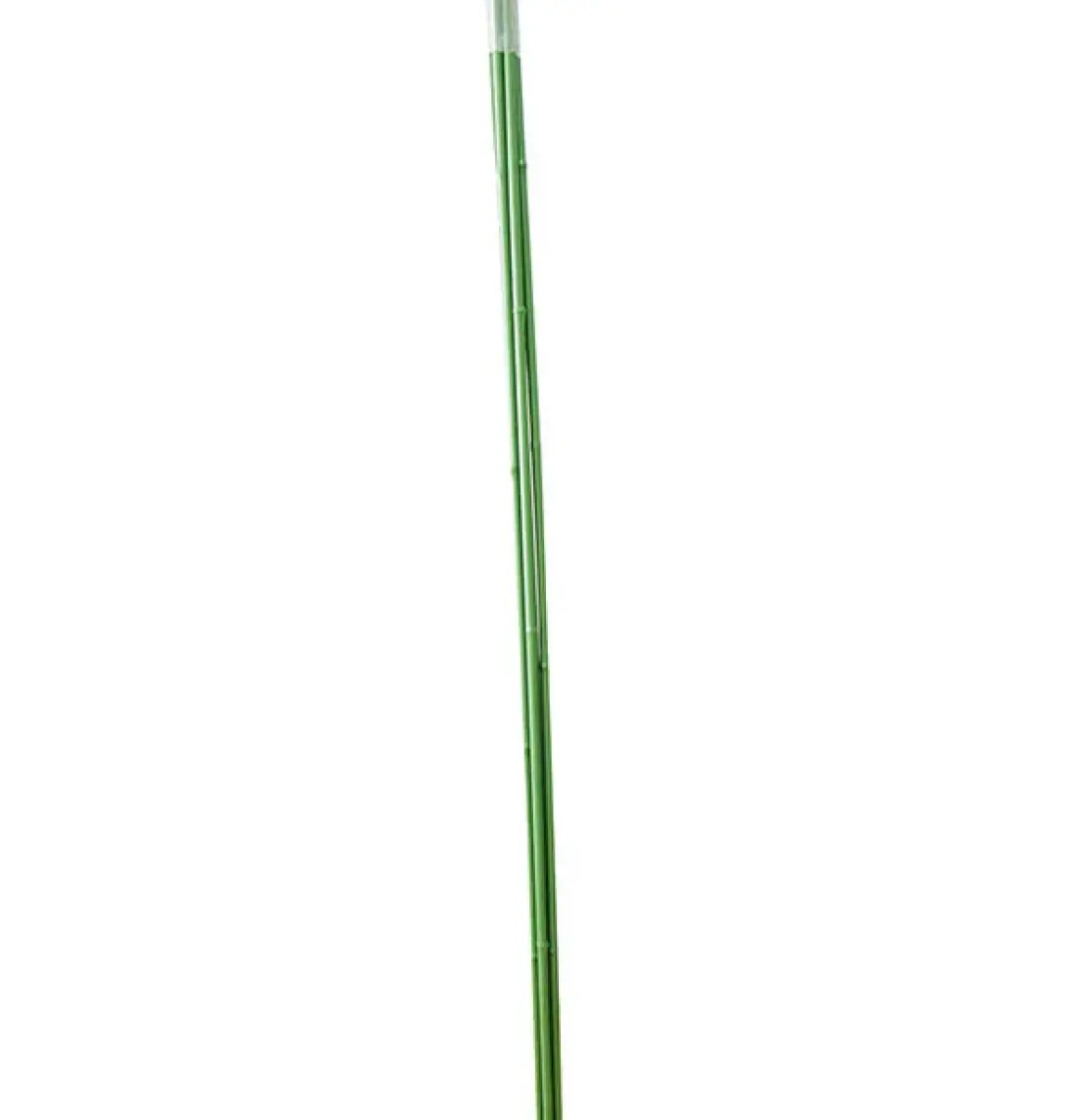 Bahçem Bambu 10'lu Bitki Destek Çubuğu 16 mm 180 cm