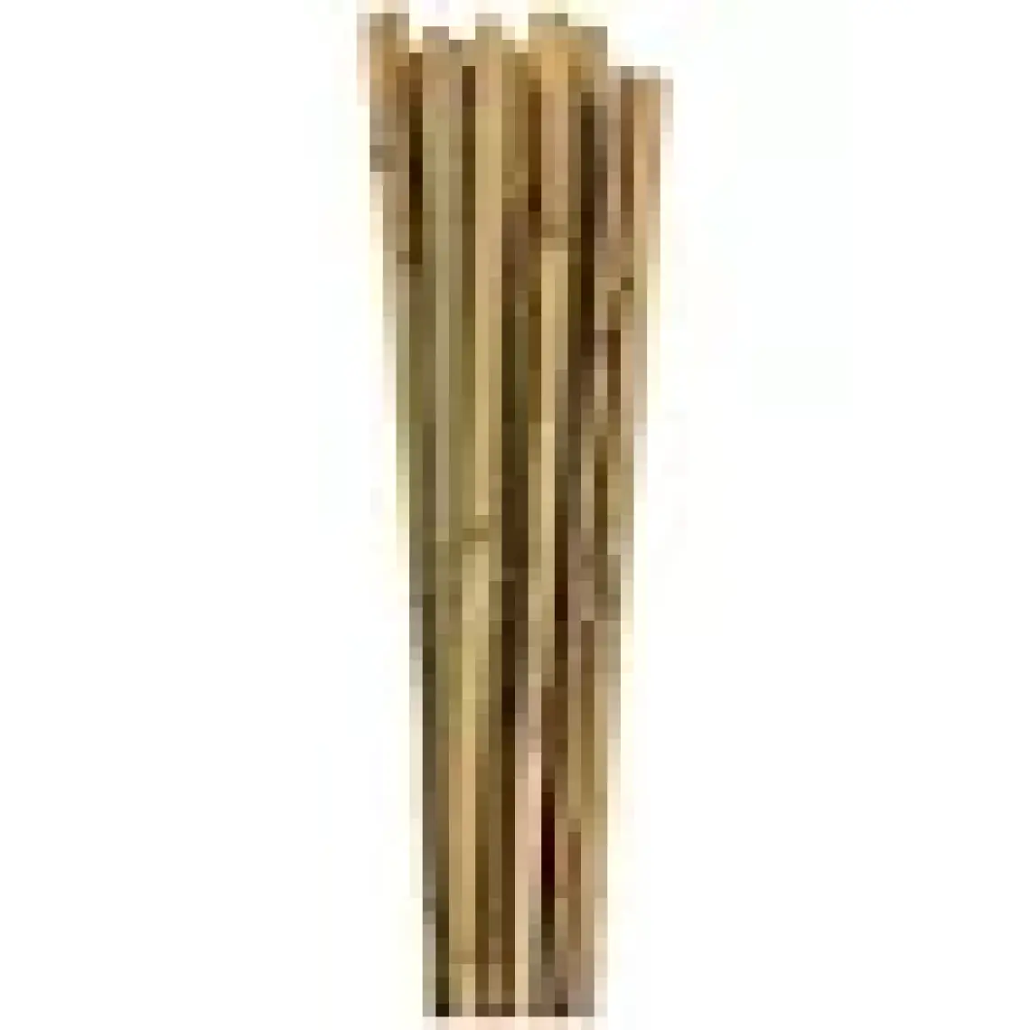 Bahçem Bambu 10'lu Bitki Destek Çubuğu 16 mm 180 cm