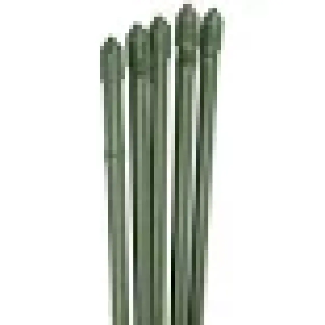 Bahçem Bambu 10'lu Bitki Destek Çubuğu 16 mm 180 cm
