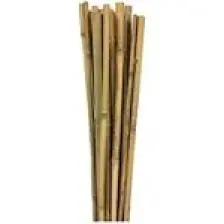 Bahçem Bambu 10'lu Bitki Destek Çubuğu 16 mm 180 cm
