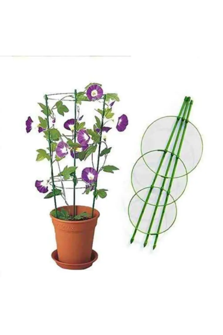 Bahçem Halkalı Bitki Destek Kafesi 90 cm