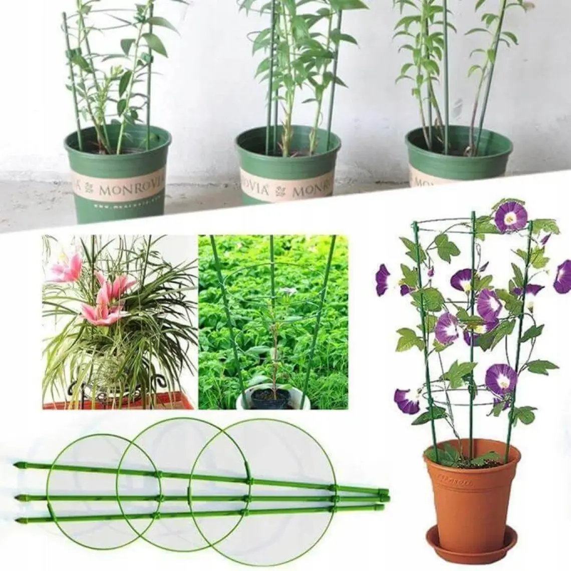 Bahçem Halkalı Bitki Destek Kafesi 90 cm