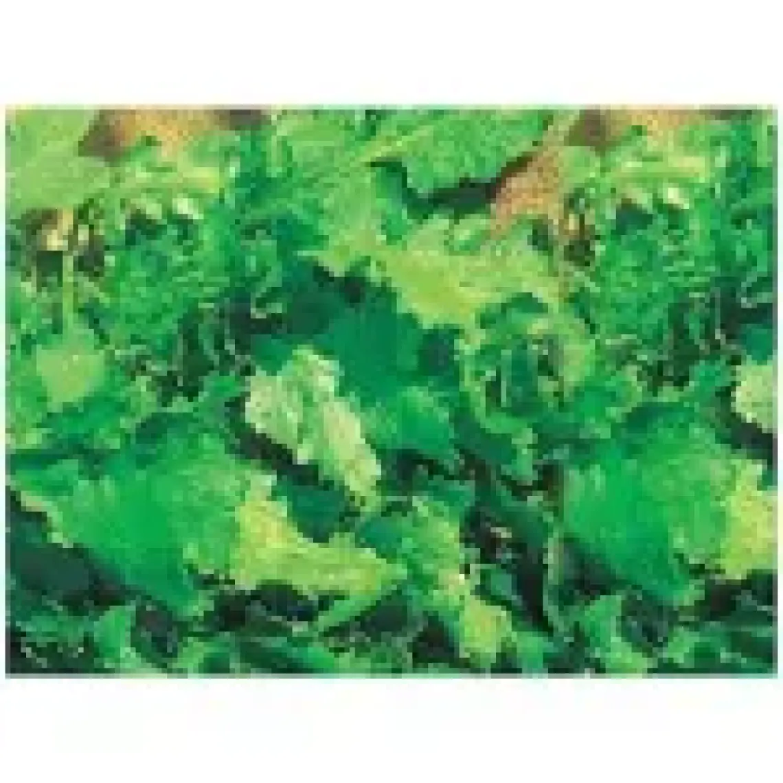 Tere Tohumu(10 Gr)