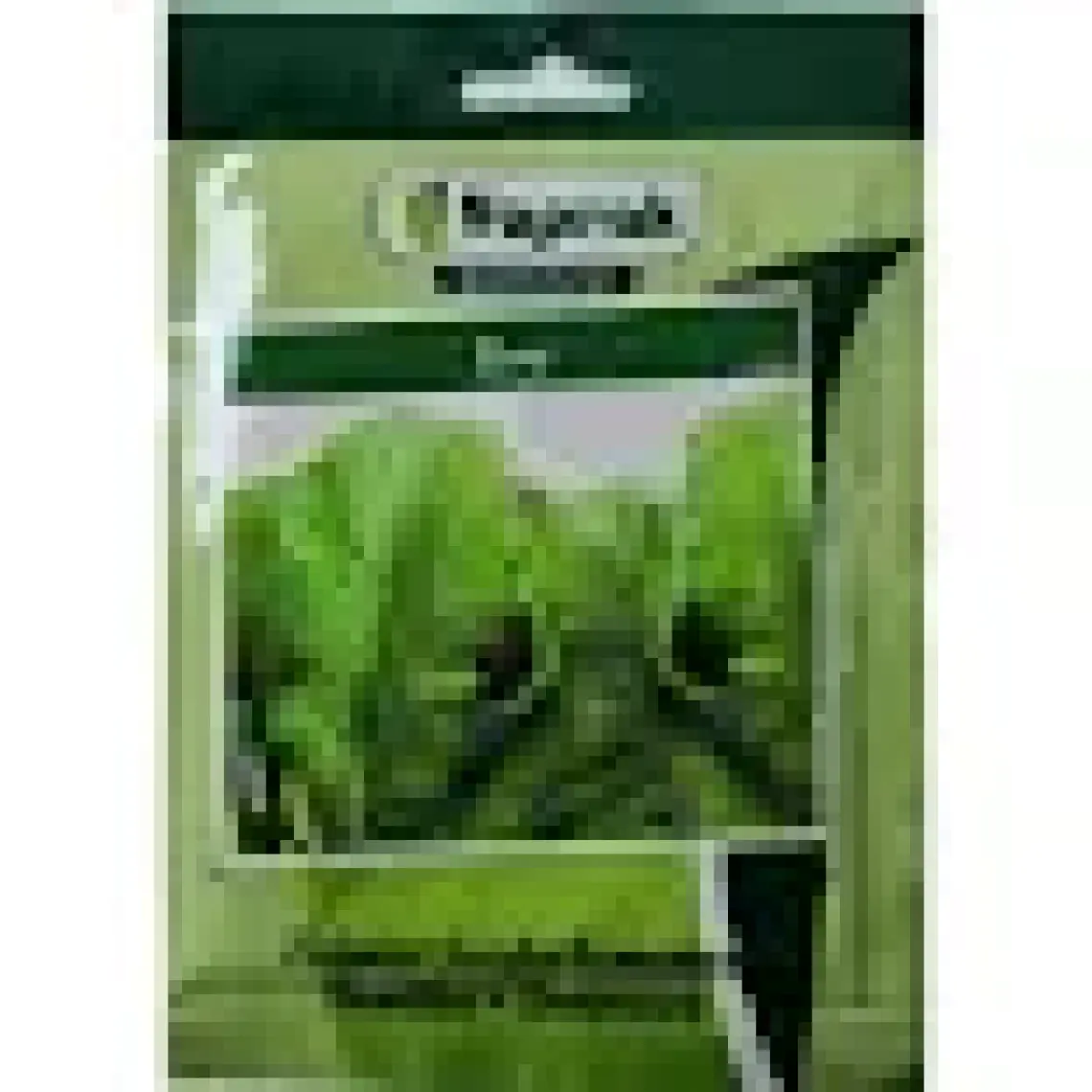 Tere Tohumu(10 Gr)
