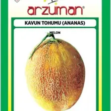 Arzuman Ananas Kavun Tohumu 10 G