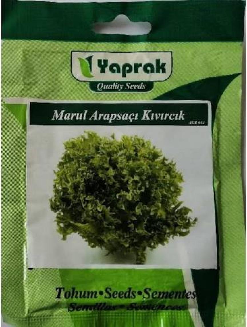 Marul Arapsaçı Kıvırcık Tohumu(10 Gr)