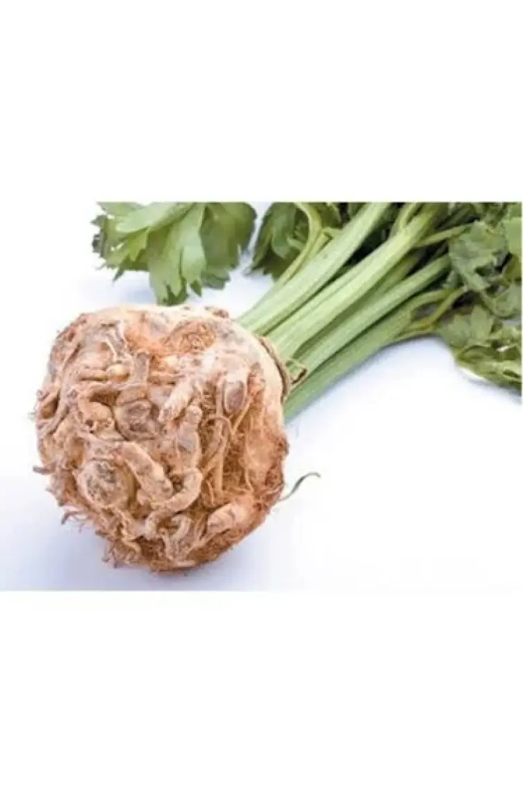 Kereviz Tohumu(10 Gr)